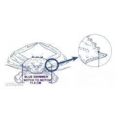 Surecatch Crab Measure For Muddies & Sandies-New Crab Ruler/Gauge 12 Surecatch Crab Measure For Muddies & Sandies-New Crab Ruler/Gauge -Outlet Fishing Accessories Store 309cr 4