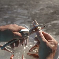 Other Toadfish Outfitters Stainless Steel Crab Cutter Tool - Evenly Cuts Crab Claws -Outlet Fishing Accessories Store TFCRABTOOL 4