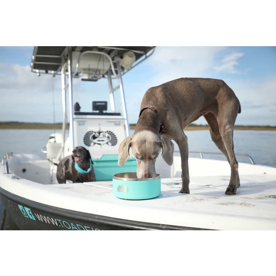 Other Toadfish Outfitters Non-Tipping Stainless Steel Dog Bowl 4 Other Toadfish Outfitters Non-Tipping Stainless Steel Dog Bowl - Image 2