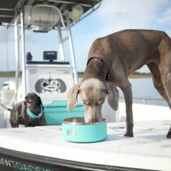 Other Toadfish Outfitters Non-Tipping Stainless Steel Dog Bowl