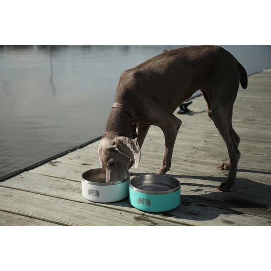 Other Toadfish Outfitters Non-Tipping Stainless Steel Dog Bowl 7 Other Toadfish Outfitters Non-Tipping Stainless Steel Dog Bowl - Image 5