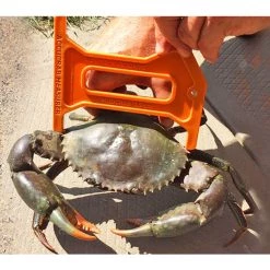 Accessories Accucrab Crab Measure - Crab Measurer - Crab Ruler For Sand And Mud Crabs 7 Accessories Accucrab Crab Measure - Crab Measurer - Crab Ruler For Sand And Mud Crabs -Outlet Fishing Accessories Store accucrab
