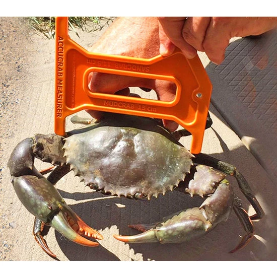Accessories Accucrab Crab Measure - Crab Measurer - Crab Ruler For Sand And Mud Crabs 5 Accessories Accucrab Crab Measure - Crab Measurer - Crab Ruler For Sand And Mud Crabs - Image 3